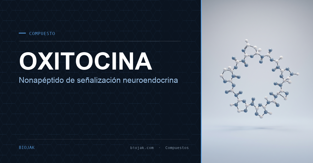Ilustración abstracta de la estructura cíclica de la oxitocina